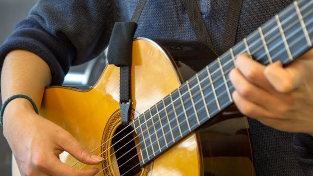 best pick for acoustic guitar beginner